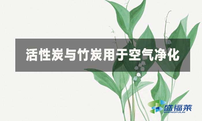 活性炭與竹炭這兩種材料在凈化空氣方面有何不同？